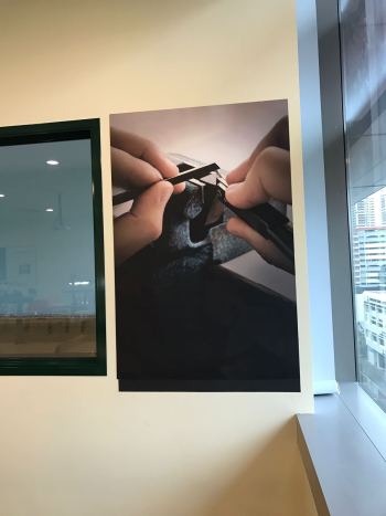 Audemars Piguet Retail Display