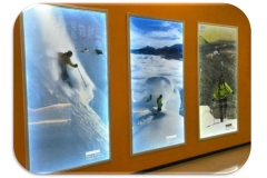 White translucent PET